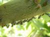 234173 – Photo : Bobabar – France (75)